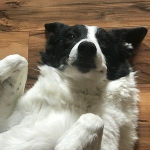 Meet your Posher, Kenzie